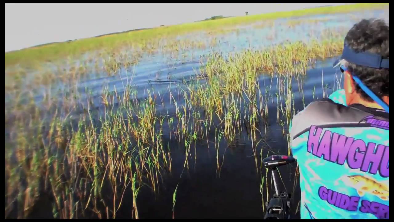 Hatcams Okeechobee Bass Fishing