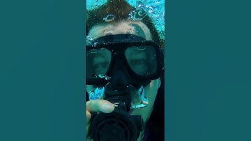 Kids Learn About Scuba Divers @JobJams #shorts #scubadiving #kidssong #kidsvideo #kidslearning