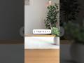貯金するとお金減る #shorts