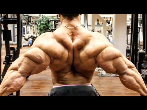 The Best Triceps In Bodybuilding - Arm Day Workout