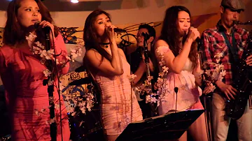 Sway - Pussycat Dolls (Cover by Soulkiss Band Japan)