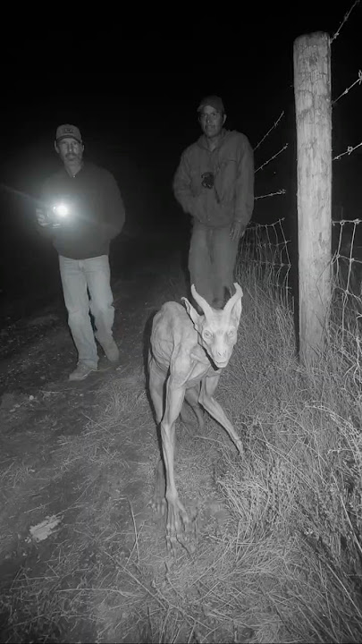 Chupacabra Caught on CCTV By Native Reservation