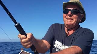 Sailfish from Maio   Cabo Verde