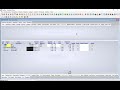 Temporal Data in Carillon