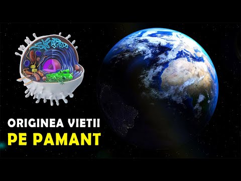 Video: Când a evoluat viața pe Pământ?