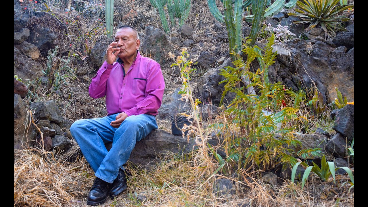 Shaman Shows His Psychedelic Garden Youtube