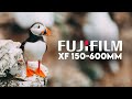 I&#39;VE DREAMED OF THIS TRIP! - FUJIFILM 150-600MM REVIEW