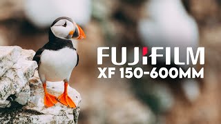 I&#39;VE DREAMED OF THIS TRIP! - FUJIFILM 150-600MM REVIEW