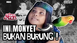Si Buta : Ini Monyet Bukan Burung ⁉️ - Tawa Sutra