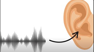 The Science Behind Earworms: How Music Sneaks Into Your Brain
