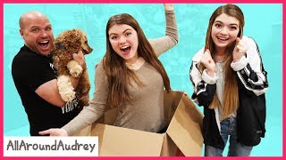 Mailed Myself And It Worked! (Skit) \/ AllAroundAudrey