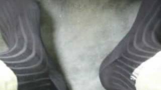 June socks 018.avi