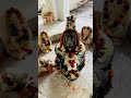 aaj ke shringar darshan#jyotikathasagar#jyotishokeen ❤️🙏