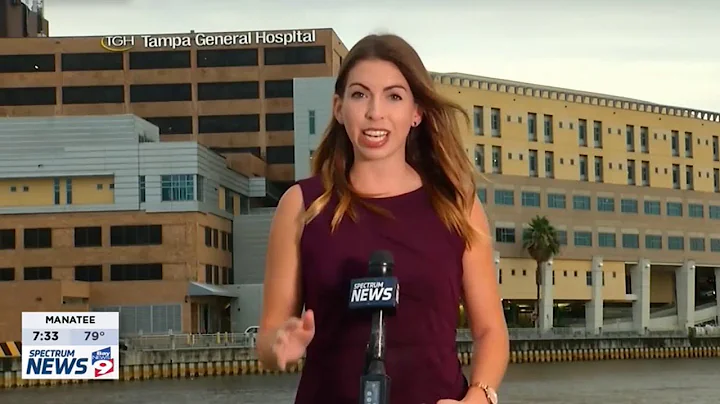 Corona Virus reopening Plan - Bay news 9  - Mark Sharpe