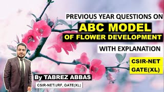 CSIR-NET SOLVED QUESTIONS ON ABC MODEL OF FLOWER DEVELOPMENT || DEVELOP. UNIT-10 || WITH EXPLANATION