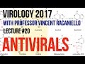Virology Lectures 2017 #20: Antivirals