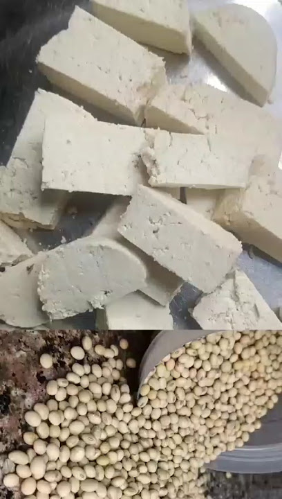 सोया पनीर टोफू कैसे बनाएं | How to Make Soya paneer #tofurecipe #tofu #shorts #trending #viral