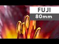 Fuji XF 80mm f2.8 Macro Review | Surprisingly versatile | Lots of sample images