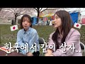 한국 자주 오는 일본 동생한테 한국에서 같이 살자고 해봤습니다….
