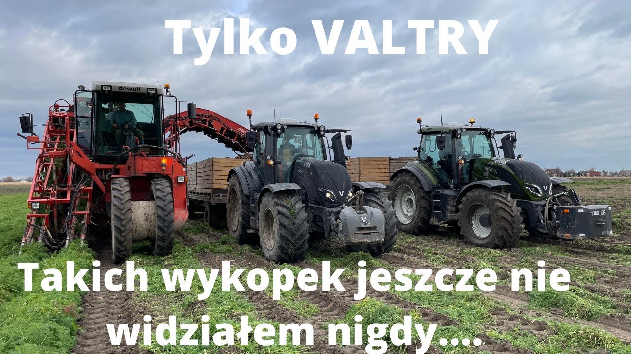 #140 Zbiory marchwi i magazynowanie w Bracia Bracik! Ile skrzyń znajduje się w chłodniach?