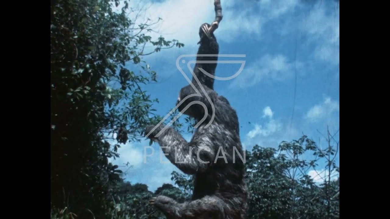 MANA, Guyane 1977 (trailer) - Pelican Collection