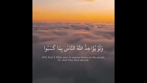 ولو يؤاخذ الله الناس /القارئ حسين حطب