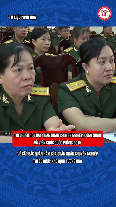 Cấp bậc quân hàm cao nhất của quân nhân chuyên nghiệp là gì?  | THƯ VIỆN PHÁP LUẬT