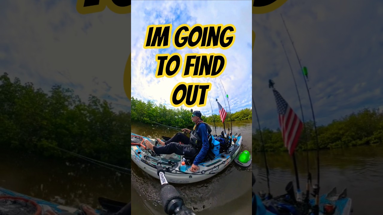 The inshore perspective I'll bring to the 