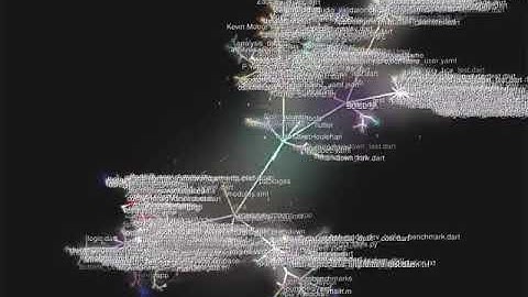 Flutter development as shown by Gource