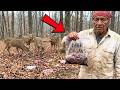 15 Natural Deer Attractants Apache Hunters Used That Are Now ILLEGAL