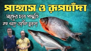 রূপচাঁদা ও পাঙ্গাস মাছের চাষ পদ্ধতি | Rupchanda fish farming | pangasius fish farming process