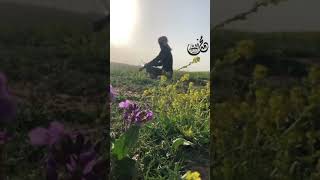 هب نسناس الهوى لي من شمال