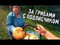 ЗА ГРИБАМИ С ПОДПИСЧИКОМ 🍄 НАБРАЛИ КУЧУ ГРУЗДЕЙ 🤪