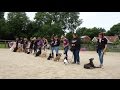 Home Boarding Residential Dog Training with Adolescent Dogs Ltd - 2017 Home Boarding Residential Dog Training with Adolescent Dogs Ltd - 2017