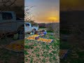 شيلات كشتات افياض رغوه