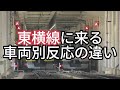 【猫ミーム】各車両が来た時の反応 ～東急東横線編～