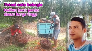 Muat buah sawit jumbo - Petani sawit auto bahagia