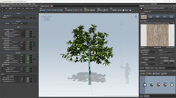 Modeling a tree in SpeedTree 7.1.6 Architect Edition