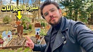 مقبرة الحيوانات في ألمانيا | Animal Cemetery in Germany??
