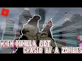 WHEN MINILLA GOT CHASED BY ZOMBIES!! || Kaiju Universe