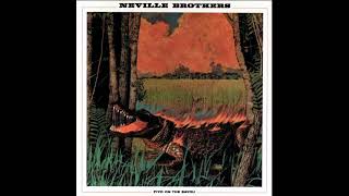 The Neville Brothers - Hey Pocky Way