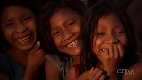 The Grammar of Happiness (2012)