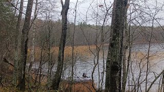 видео: Прокатились до острова и подышали свежим воздухом картинка: Прокатились до острова и подышали свежим воздухом