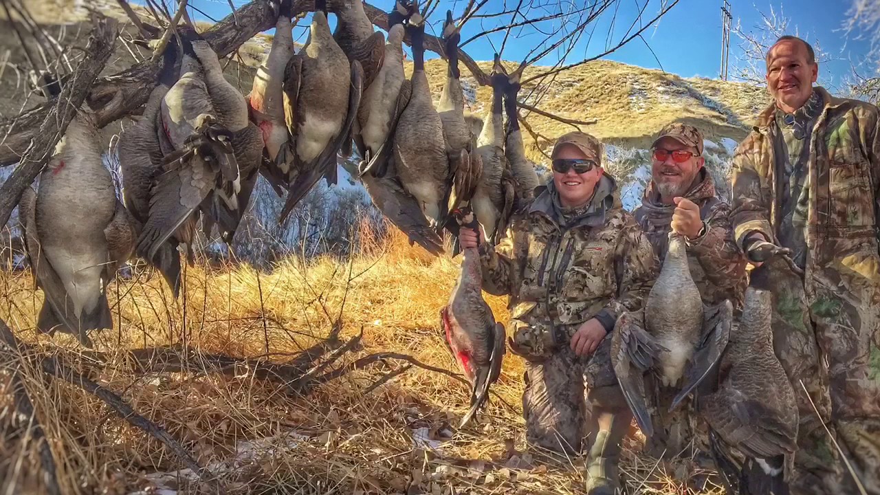 Colorado goose hunt 2016 YouTube