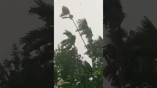 Tropical Storm | কালবৈশাখী ঝড় |