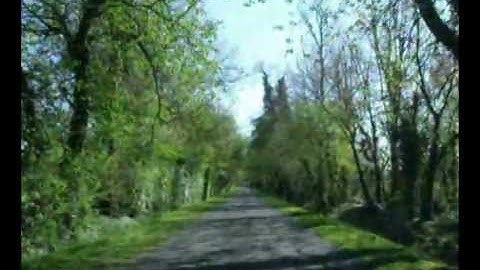 Summer Folk Riot - Robots Found Errors (Official Video)