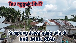 Jalan2 Kekampung Wong Jowo Di Kab.inhil Riau