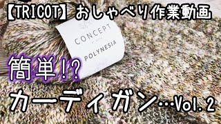 【棒針編み】簡単⁉四角だけで編むカーディガンを編み始めたのだが…Vol.2（前身ごろ）★雑多でいろいろなお話をしようか【おしゃべり作業動画】