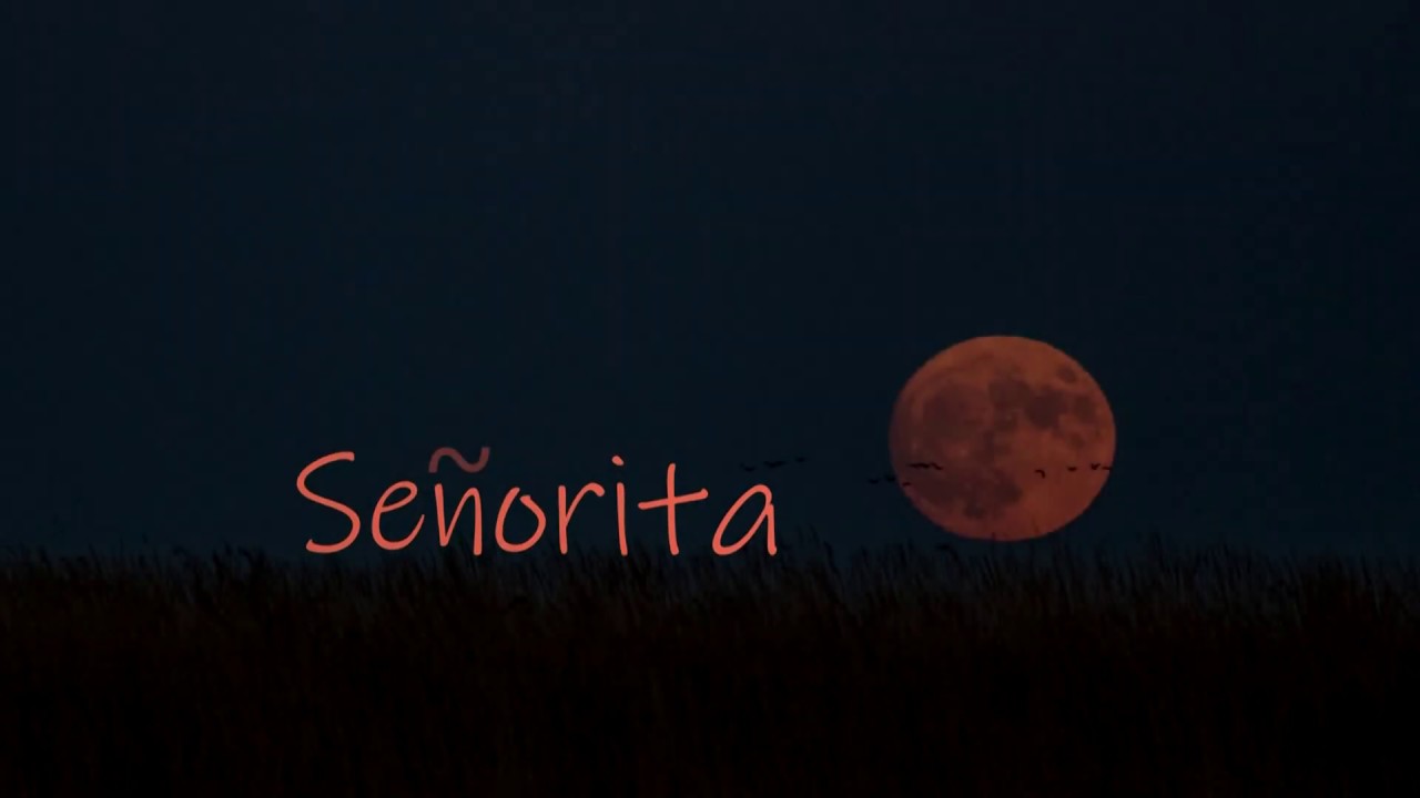 Oof Senorita - roblox music code for senorita
