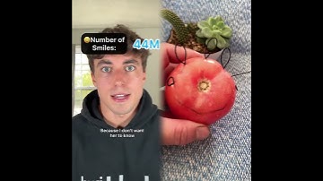 POV Everyone is given a certain amount of smiles every year to survive…